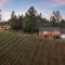 Vineyard Views 2BR House in Placerville, California - Placerville