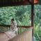 Ubud Nyuh Bali Resort & Spa - 乌布