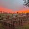 Vineyard Views 2BR House in Placerville, California - Placerville