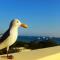 Seagull Penthouse Marsaxlokk - Marsaxlokk