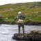 Cottage 420 - Clifden - Clifden