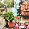 Backpackers And Travellers Hostel