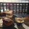 Le Tramontane ,draps et serviettes non inclus - Port Leucate