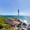 Dolphins - Coverack
