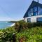 Dolphins - Coverack