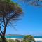 Villa vista pineta - 90 mt dalla spiaggia - Budoni