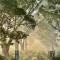 Clarries Green Clarries Green