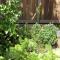 Wine Country Cottage in the Southern Highlands