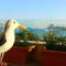 Foto: Seagull Penthouse Marsaxlokk 39/142
