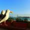 Foto: Seagull Penthouse Marsaxlokk 30/142