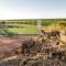 Naftali Guest Farm