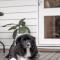 Myrtle Creek Cottage