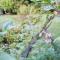 Myrtle Creek Cottage