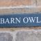 Barn Owl - Easington