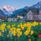 alscher's holiday home - Interlaken