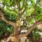 Super Flat, Garden. Bnbrickeys