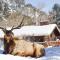 McGregor Mountain Lodge