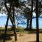 Amity Seaside
