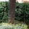 Apartment Fiorita for 4 Persons Poreč close the beach - Poreč