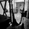 Fifty Shapes - Nesher