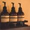 Villas Oasis, Troncones