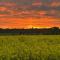 Home in the Vale Of Evesham - Pershore