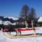 HERZLI-CHALET über dem Rheintal mit Schlossblick - Werdenberg