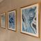 The Equilibrium Collection in Centro Internacional