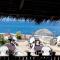 Catcha Falling Star - Negril