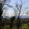 Foto: Woodview House Bed and Breakfast 1/25