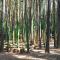 Waldcamping Am Brombachsee
