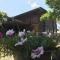 Little Ta Van Homestay
