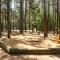 Waldcamping Am Brombachsee