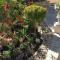 Brela SP small loft-no parking