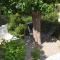 VILLA VUE MER PLAGE 200m ET CENTRE VILLE a pied parking privé wifi fibre abritée du vent st pierre la mer