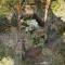 Treehouse Virš Bedugnės