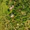 Amboseli Sopa Lodge