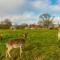 The Owl House - Little Massingham
