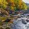Family Gathering Whispering Pines 514 - Pigeon Forge