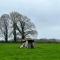 The Wandering Donkey Guest House