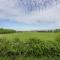 Plumtrees - Thornham