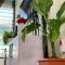 Jambo Diani 1-bedroom apartment close to the beach