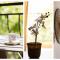 Quiet Maisonette メ Top Spot