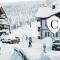 Levin Alppitalot Alpine Chalets