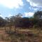 Matalatala Wildlife Lodge