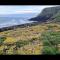 Sandy Cove