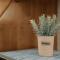 Estell’s sweet luxury house