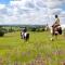 Tiny House et chevaux - Le Breuil