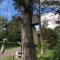 Lovely Holiday Home Close To The Beach And Nature