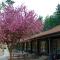 A-Lodge Boulder - Boulder